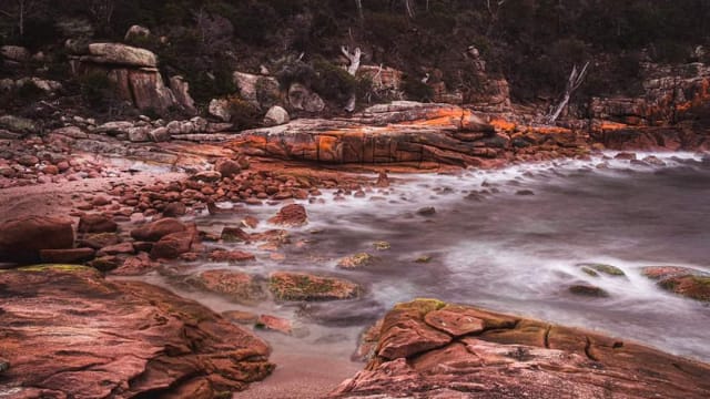 Discovery Park Cradle Mountain | Travel Pediya